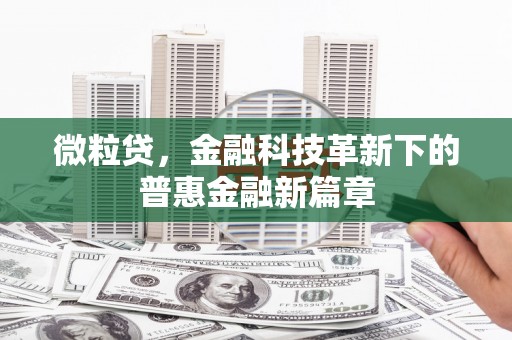 宝山微粒贷，金融科技革新下的普惠金融新篇章