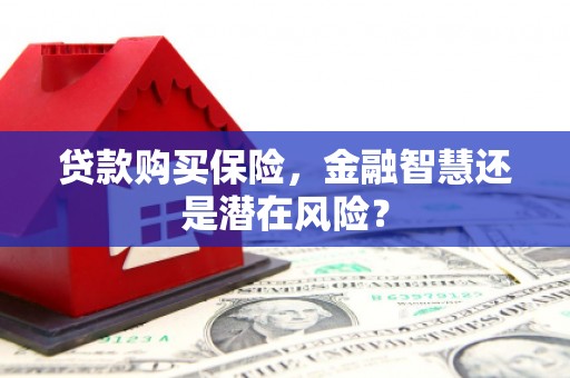 王益贷款购买保险，金融智慧还是潜在风险？