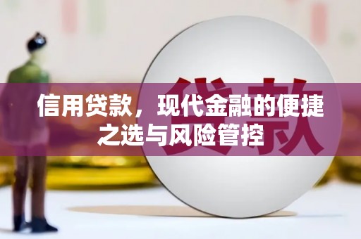 阳春信用贷款，现代金融的便捷之选与风险管控