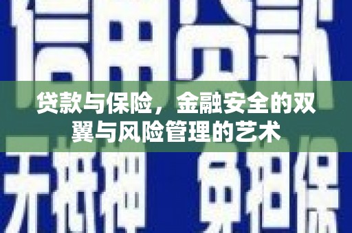 芦竹贷款与保险，金融安全的双翼与风险管理的艺术