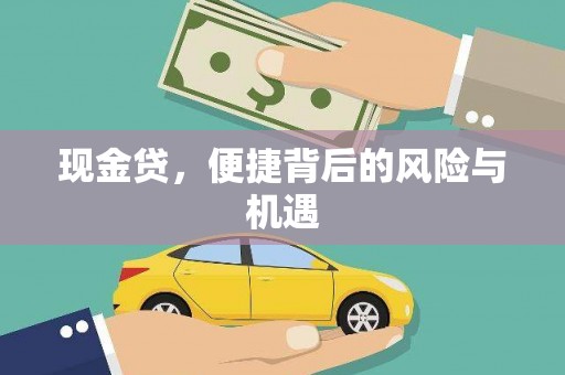 无极现金贷，便捷背后的风险与机遇