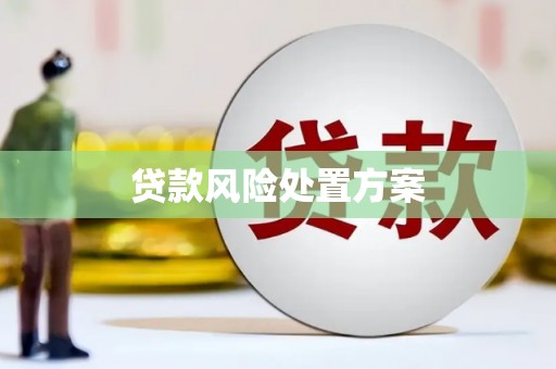 索县贷款风险处置方案