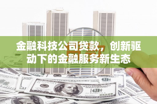 武侯金融科技公司贷款，创新驱动下的金融服务新生态