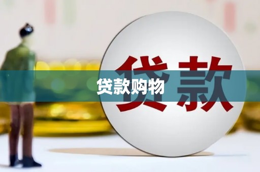 颍上贷款购物