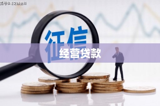 荣县经营贷款