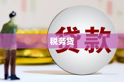 梁河税务贷