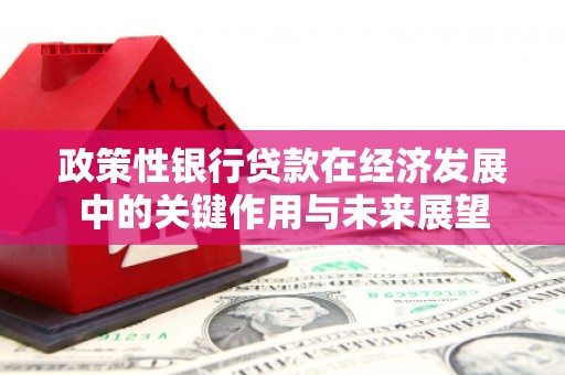 竹崎政策性银行贷款在经济发展中的关键作用与未来展望