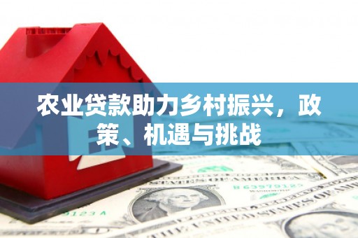 东至农业贷款助力乡村振兴，政策、机遇与挑战