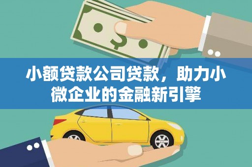 澎湖小额贷款公司贷款，助力小微企业的金融新引擎