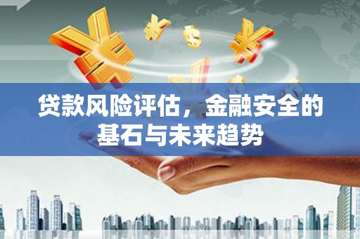 宁夏贷款风险评估，金融安全的基石与未来趋势