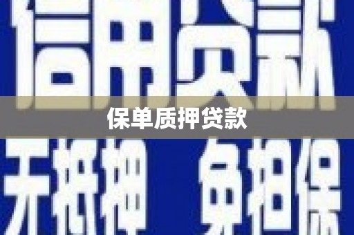 孝感保单质押贷款