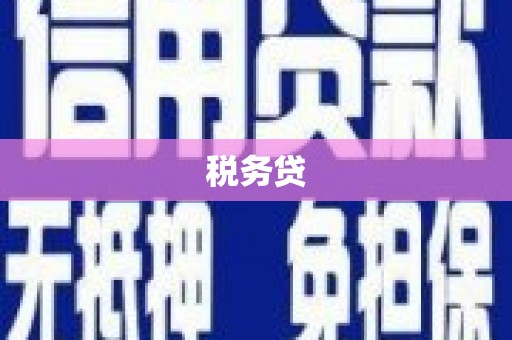 沁源税务贷