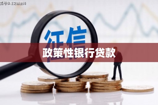 集美政策性银行贷款