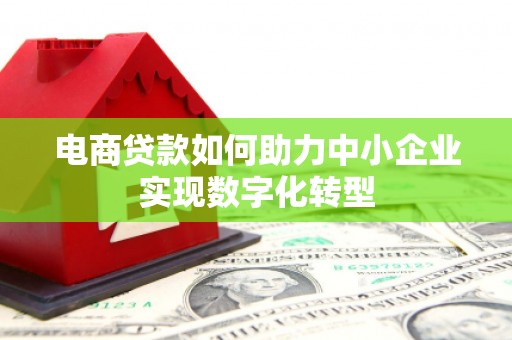 那曲电商贷款如何助力中小企业实现数字化转型