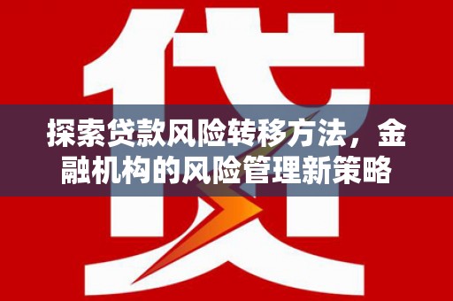 南州探索贷款风险转移方法，金融机构的风险管理新策略