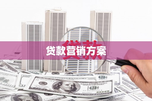 西丰贷款营销方案