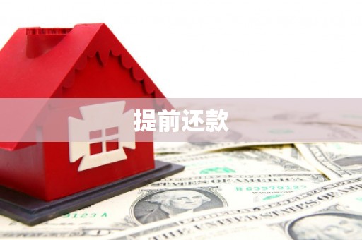 山东提前还款