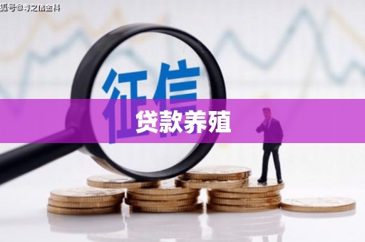 北竿贷款养殖