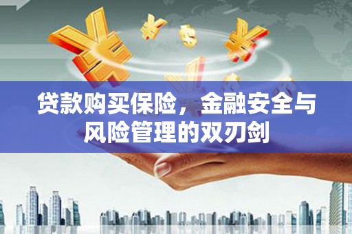 成华贷款购买保险，金融安全与风险管理的双刃剑