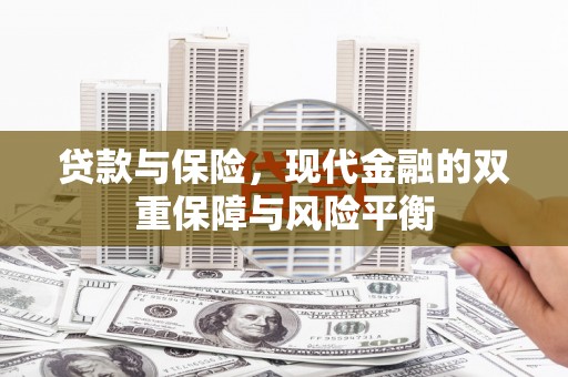 沙雅贷款与保险，现代金融的双重保障与风险平衡