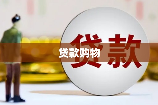 吴起贷款购物