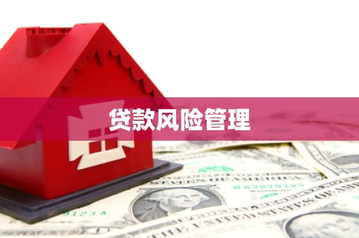 秦淮贷款风险管理