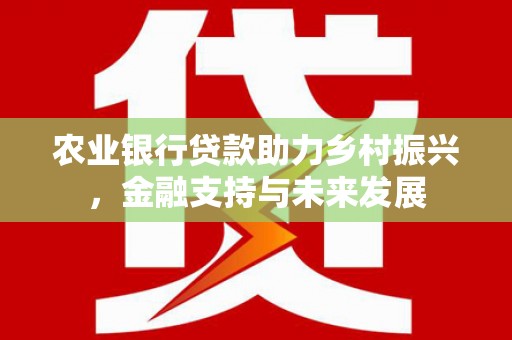 昭阳农业银行贷款助力乡村振兴，金融支持与未来发展