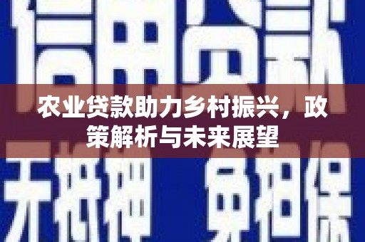 肥乡农业贷款助力乡村振兴，政策解析与未来展望