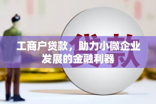 外埔工商户贷款，助力小微企业发展的金融利器