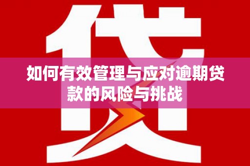 康保如何有效管理与应对逾期贷款的风险与挑战