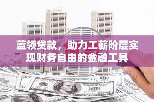 苑里蓝领贷款，助力工薪阶层实现财务自由的金融工具