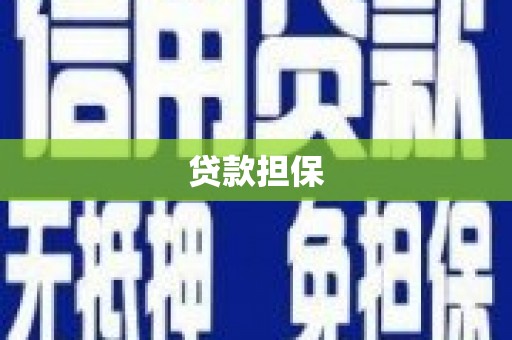 天元贷款担保