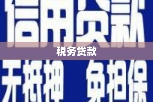 唐县税务贷款