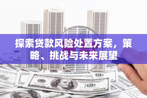 曲麻莱探索贷款风险处置方案，策略、挑战与未来展望