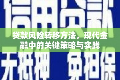 云和贷款风险转移方法，现代金融中的关键策略与实践