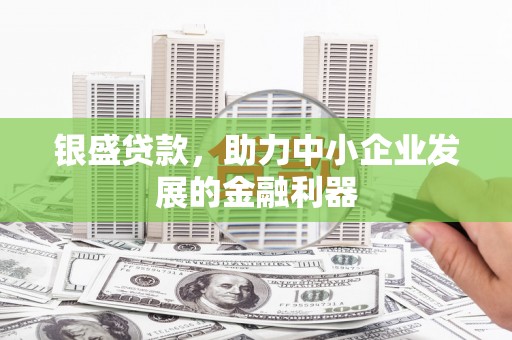 那曲银盛贷款，助力中小企业发展的金融利器