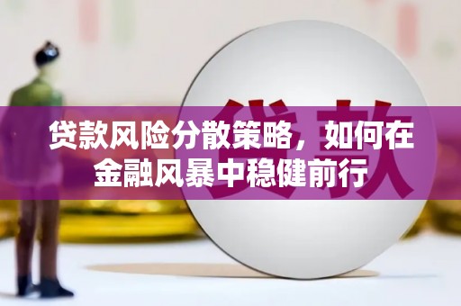 合浦贷款风险分散策略，如何在金融风暴中稳健前行