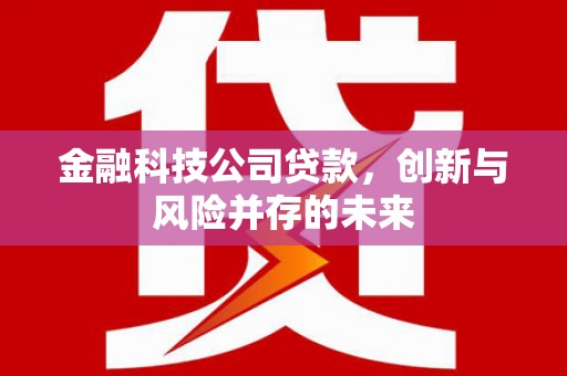 冈山金融科技公司贷款，创新与风险并存的未来