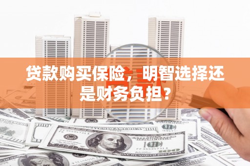 梧栖贷款购买保险，明智选择还是财务负担？