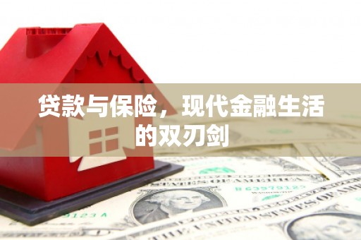 舟山新区贷款与保险，现代金融生活的双刃剑