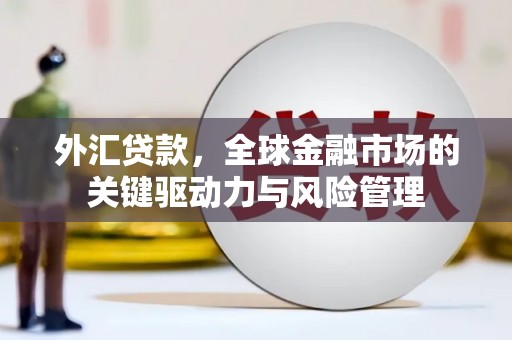 咸宁外汇贷款，全球金融市场的关键驱动力与风险管理