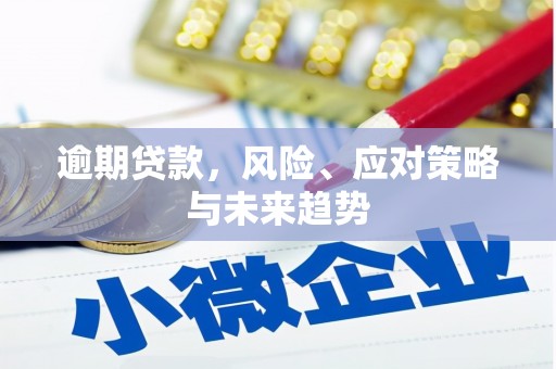 嘉祥逾期贷款，风险、应对策略与未来趋势