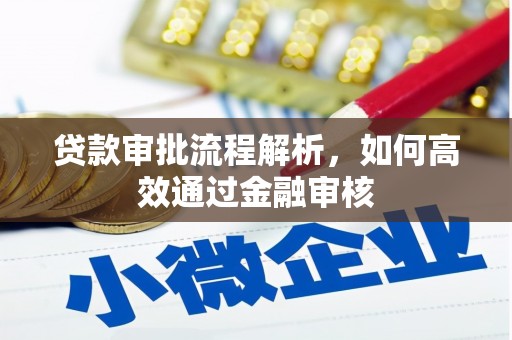 金湾贷款审批流程解析，如何高效通过金融审核
