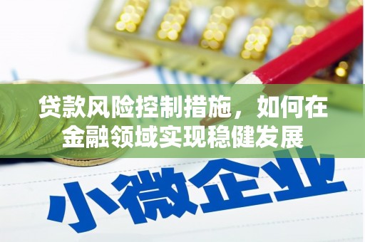 乌来贷款风险控制措施，如何在金融领域实现稳健发展