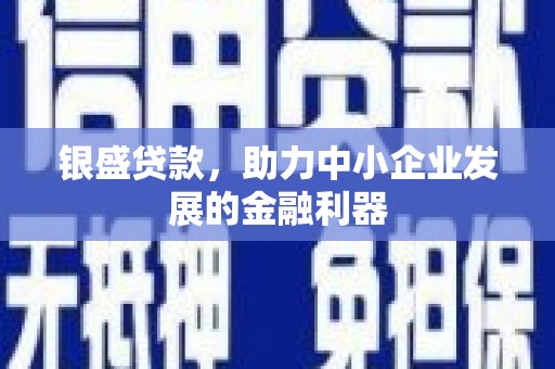 盐池银盛贷款，助力中小企业发展的金融利器