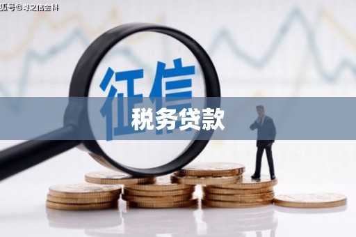 邵东税务贷款
