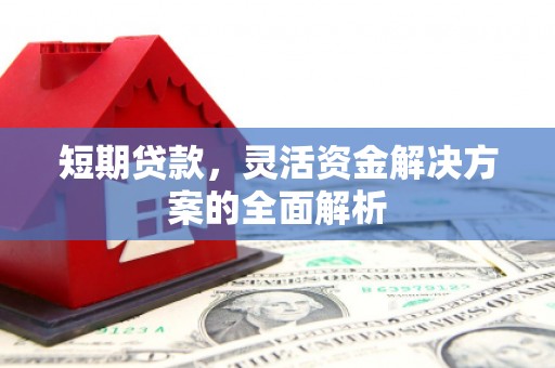 顺庆短期贷款，灵活资金解决方案的全面解析