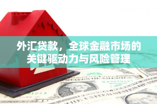 复兴外汇贷款，全球金融市场的关键驱动力与风险管理