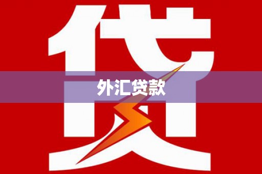 磐安外汇贷款
