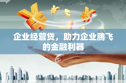 平乡企业经营贷，助力企业腾飞的金融利器